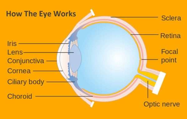 AMD Treatment in East Delhi, Eye Clinic in Delhi, Eye Surgeons in Delhi